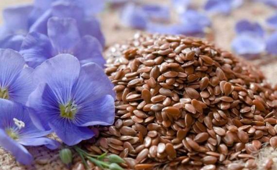 Воспользуется ли Казахстан выгодной ситуацией на мировом рынке льна - agroexpert.md