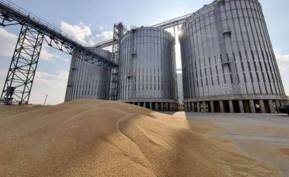 Оговорки стоимости топлива в зерновых контрактах снижают риски убытков - agroexpert.md