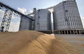 Оговорки стоимости топлива в зерновых контрактах снижают риски убытков - agroexpert.md