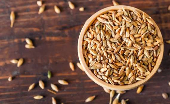 orz moldovenesc - agroexpert.md