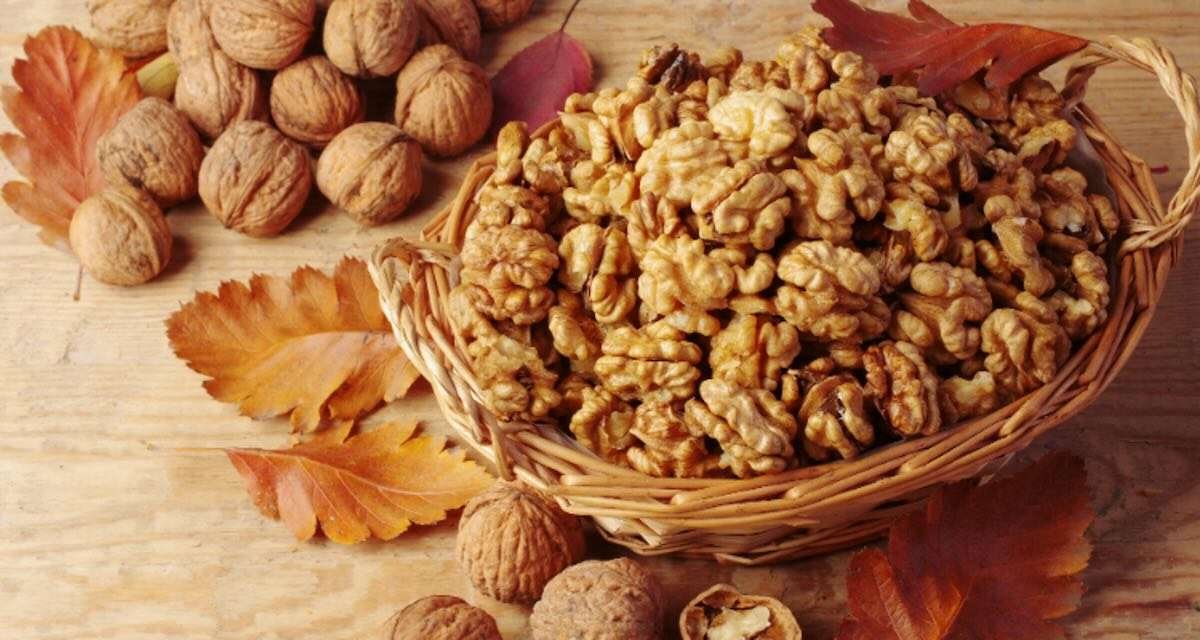 Sprijin pentru nucicultură: proiecte finanțate prin concurs - agroexpert.md