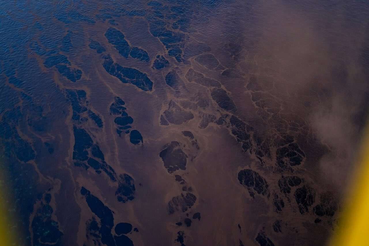 pete de petrol pe Nistru - agroexpert.md