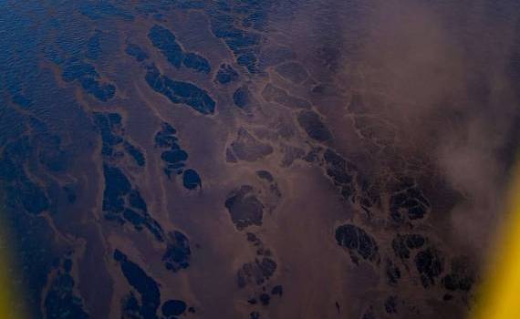 pete de petrol pe Nistru - agroexpert.md