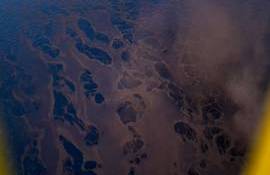 pete de petrol pe Nistru - agroexpert.md