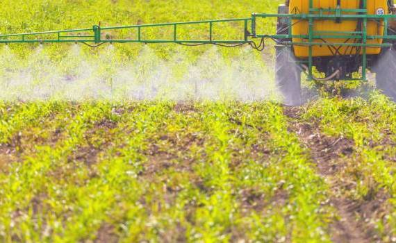 Cine importă cele mai multe erbicide - agroexpert.md