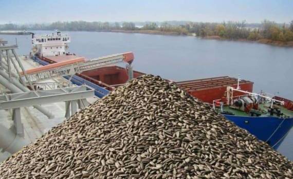 В Болгарию завозят подсолнечник из Аргентины с превышением пестицидов - agroexpert.md