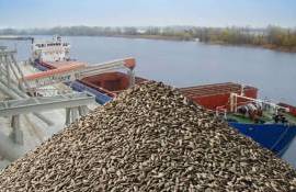 В Болгарию завозят подсолнечник из Аргентины с превышением пестицидов - agroexpert.md