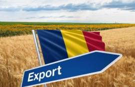 Румыния укрепляет позиции как одного из ведущих аграрных центров ЕС - agroexpert.md