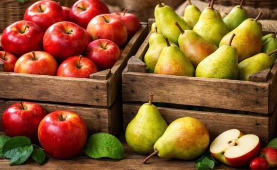 Резкий рост запасов яблок и груш в Европе: данные WAPA на май 2026 года - agroexpert.md