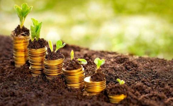 granturi pentru agricultori - agroexpert.md