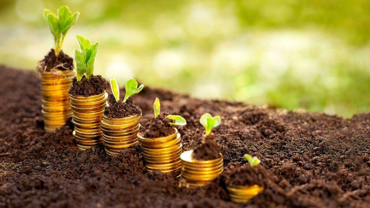 granturi pentru agricultori - agroexpert.md