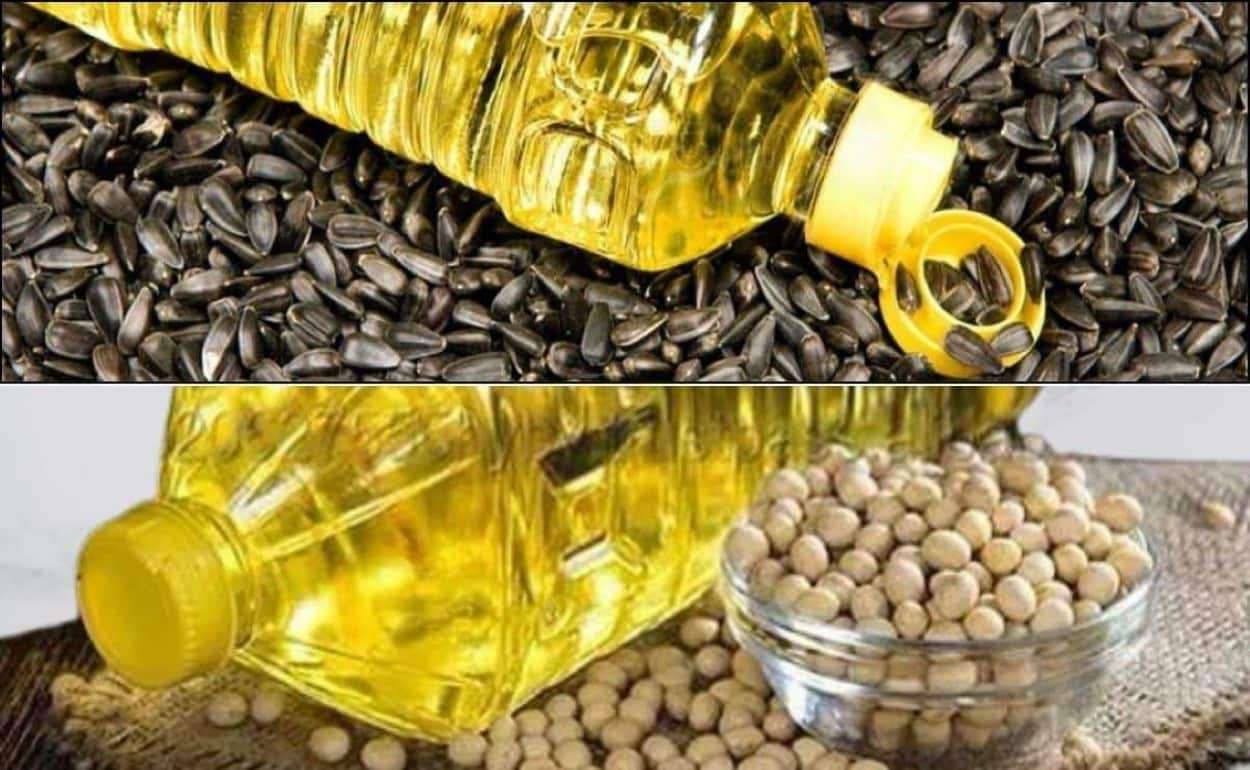 LDC построит крупнейший в мире маслоэкстракционный завод в Аргентине - agroexpert.md