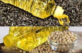 LDC построит крупнейший в мире маслоэкстракционный завод в Аргентине - agroexpert.md