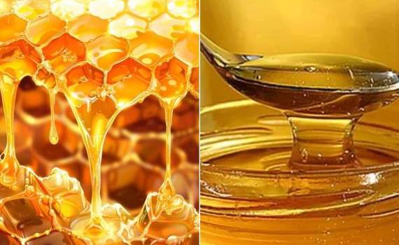 Пчеловоды Европы ищут новые механизмы защиты отрасли от фальсификата - agroexpert.md