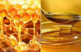 Пчеловоды Европы ищут новые механизмы защиты отрасли от фальсификата - agroexpert.md