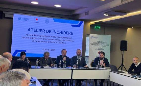 rezultatele proiectului FAO - agroexpert.md