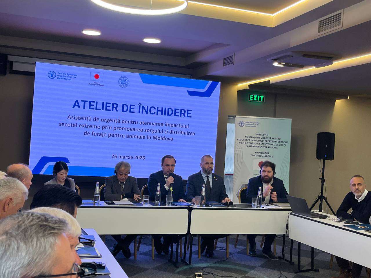 rezultatele proiectului FAO - agroexpert.md