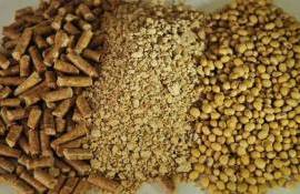 В ЕС выступают за снижение зависимости от импортных поставок сои - agroexpert.md