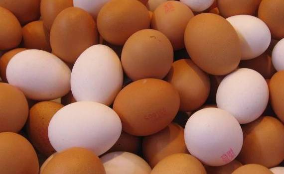 Trei companii moldovenești vor exporta ouă pentru incubare în Ucraina - agroexpert.md