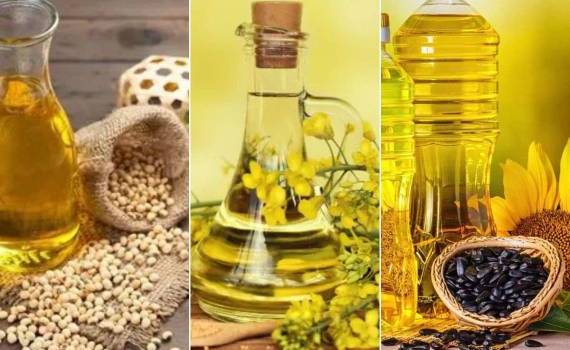 В Украине производство масличных снизится почти на 20% в 2025/26 МГ - agroexpert.md