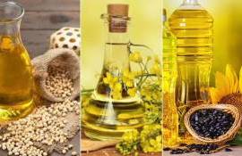 В Украине производство масличных снизится почти на 20% в 2025/26 МГ - agroexpert.md