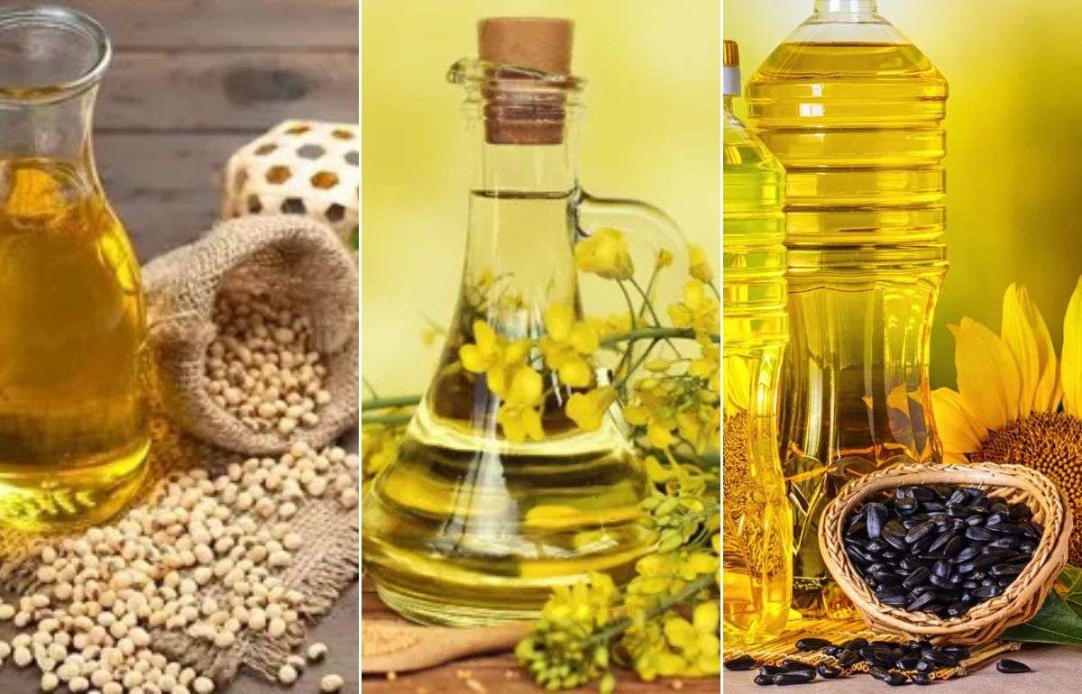 В Украине производство масличных снизится почти на 20% в 2025/26 МГ - agroexpert.md