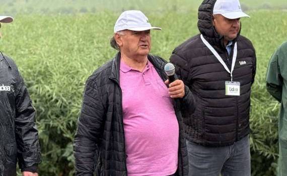 renunțe la sfecla de zahăr - agroexpert.md