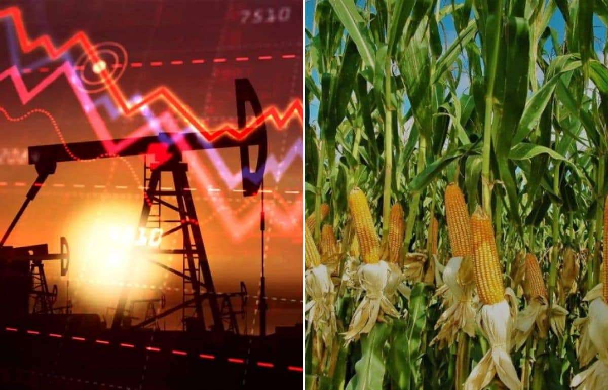 Агросектор под угрозой: последствия мирового кризиса после нефтяного шока - agroexpert.md