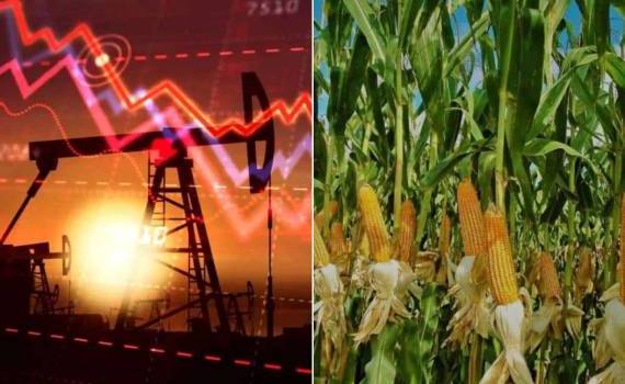 Агросектор под угрозой: последствия мирового кризиса после нефтяного шока - agroexpert.md