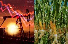 Агросектор под угрозой: последствия мирового кризиса после нефтяного шока - agroexpert.md