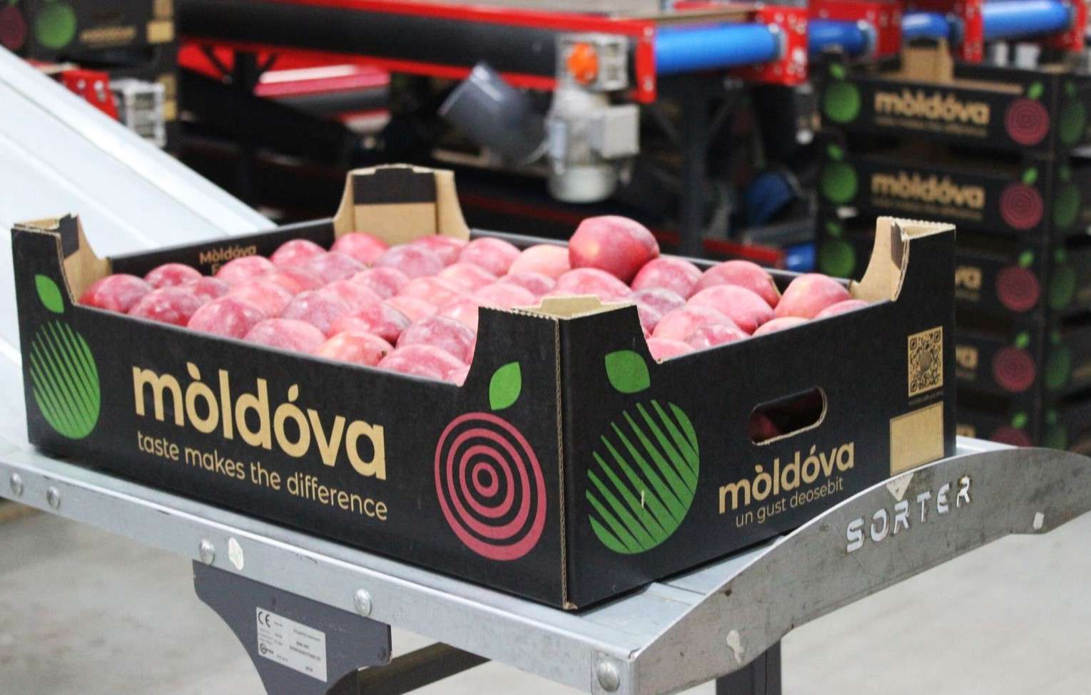 Oficiul horticol nu va fi creat - AGROEXPERT.MD