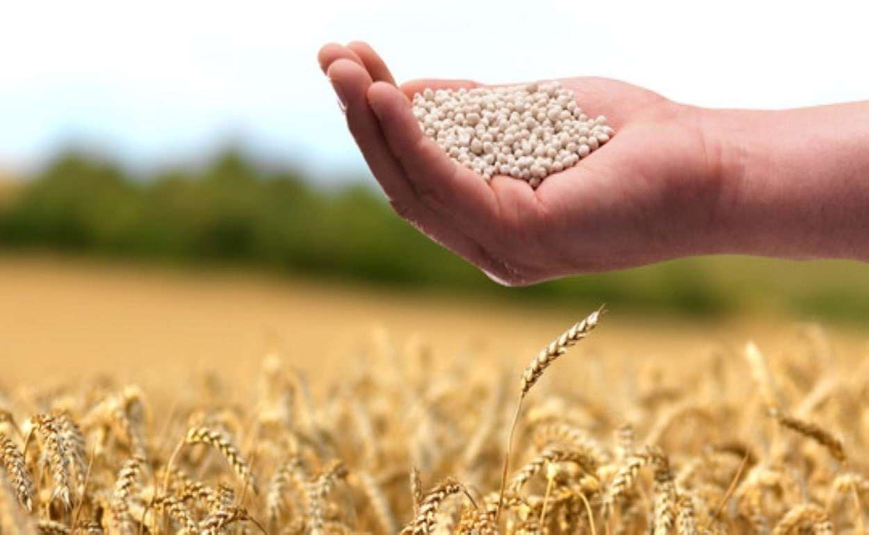 Как Австралия за счет генетики ищет выход из проблемы дорогих удобрений - agroexpert.md