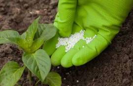 se scumpesc îngrășămintele - agroexpert.md