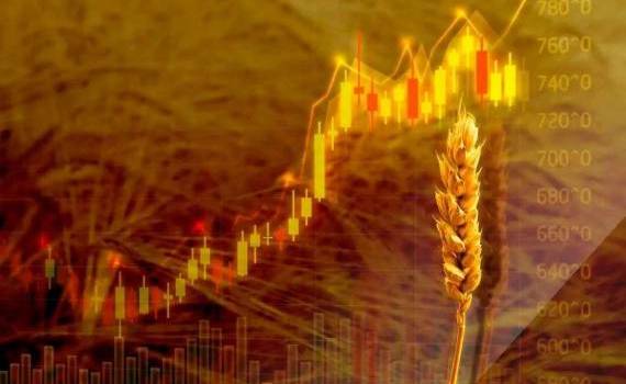Рынок отреагировал на соглашения США и Ирана падением цен на зерно и масло - agroexpert.md