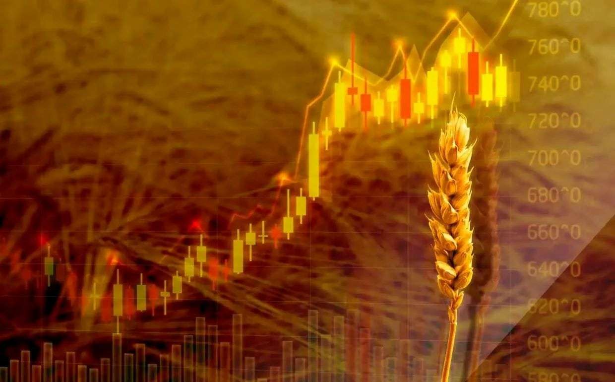 Рынок отреагировал на соглашения США и Ирана падением цен на зерно и масло - agroexpert.md