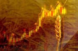 Рынок отреагировал на соглашения США и Ирана падением цен на зерно и масло - agroexpert.md