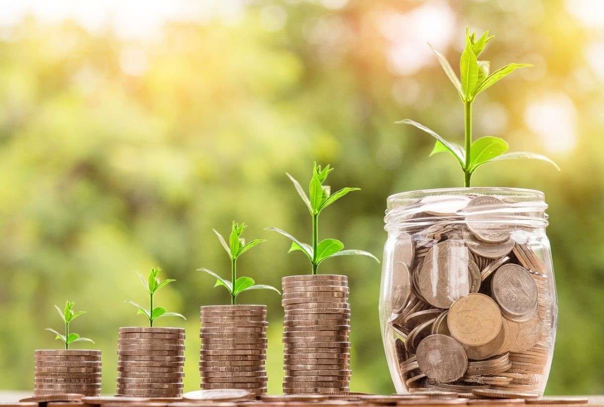 AIPA a autorizat încă 16 mln de lei: În ce investesc fermierii - agroexpert.md