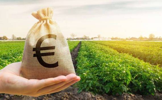 fonduri IFAD pentru fermieri - agroexpert.md