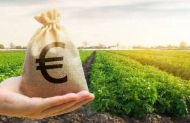 fonduri IFAD pentru fermieri - agroexpert.md