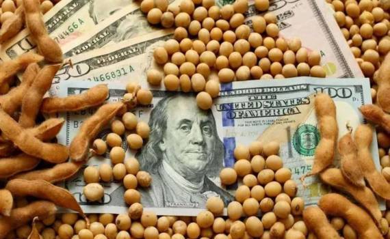 Мировой рынок оказывает давление на экспортные цены украинской сои - agroexpert.md