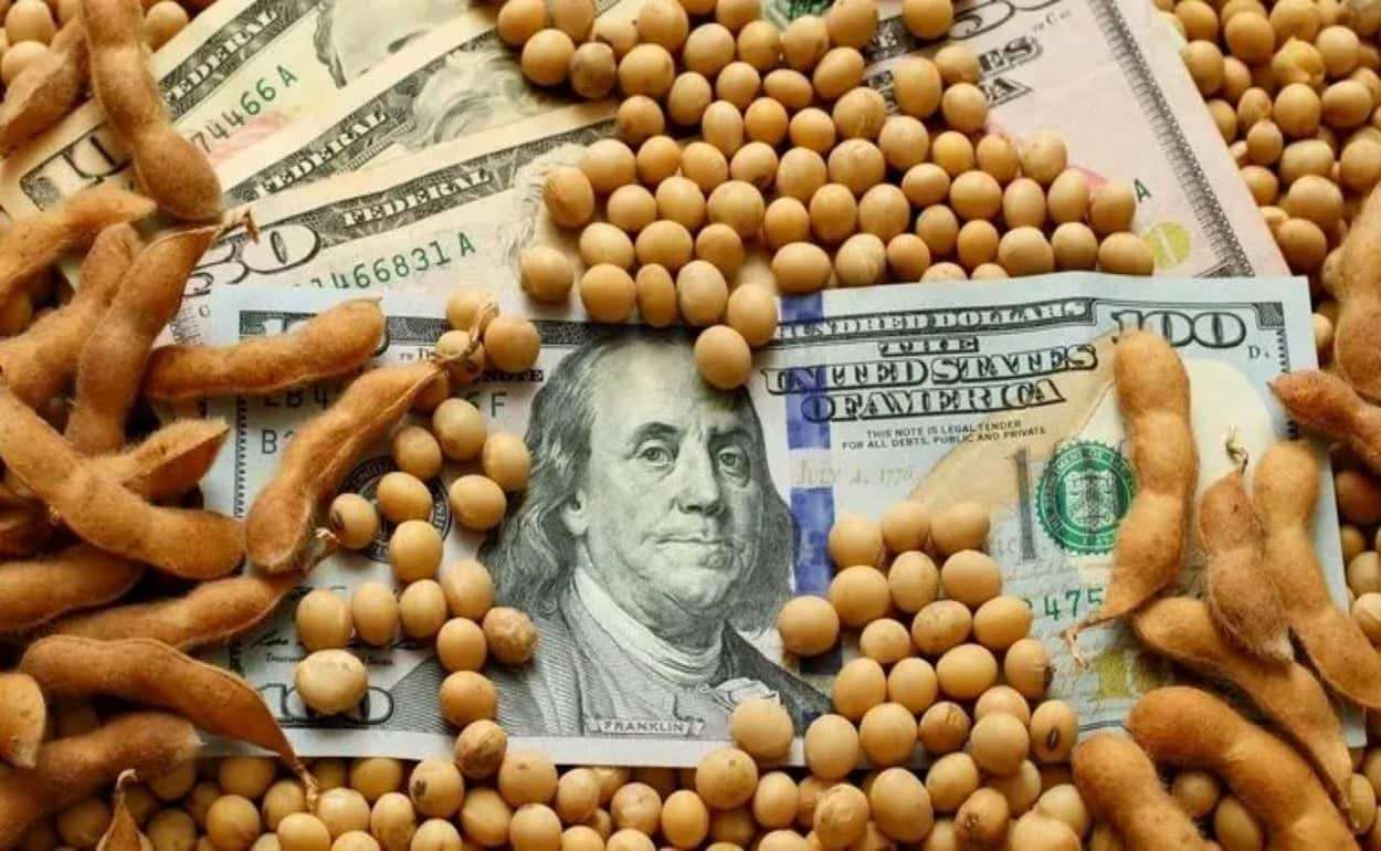 Мировой рынок оказывает давление на экспортные цены украинской сои - agroexpert.md