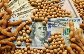 Мировой рынок оказывает давление на экспортные цены украинской сои - agroexpert.md