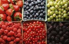 Piața poloneză rămâne fără fructe de pădure - agroexpert.md