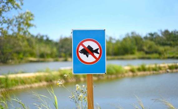 prohibiția pescuitului - agroexpert.md