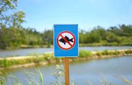 prohibiția pescuitului - agroexpert.md