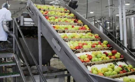 Рынок яблочного концентрата съёжился под давлением рекордных запасов яблок - agroexpert.md
