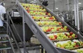 Рынок яблочного концентрата съёжился под давлением рекордных запасов яблок - agroexpert.md