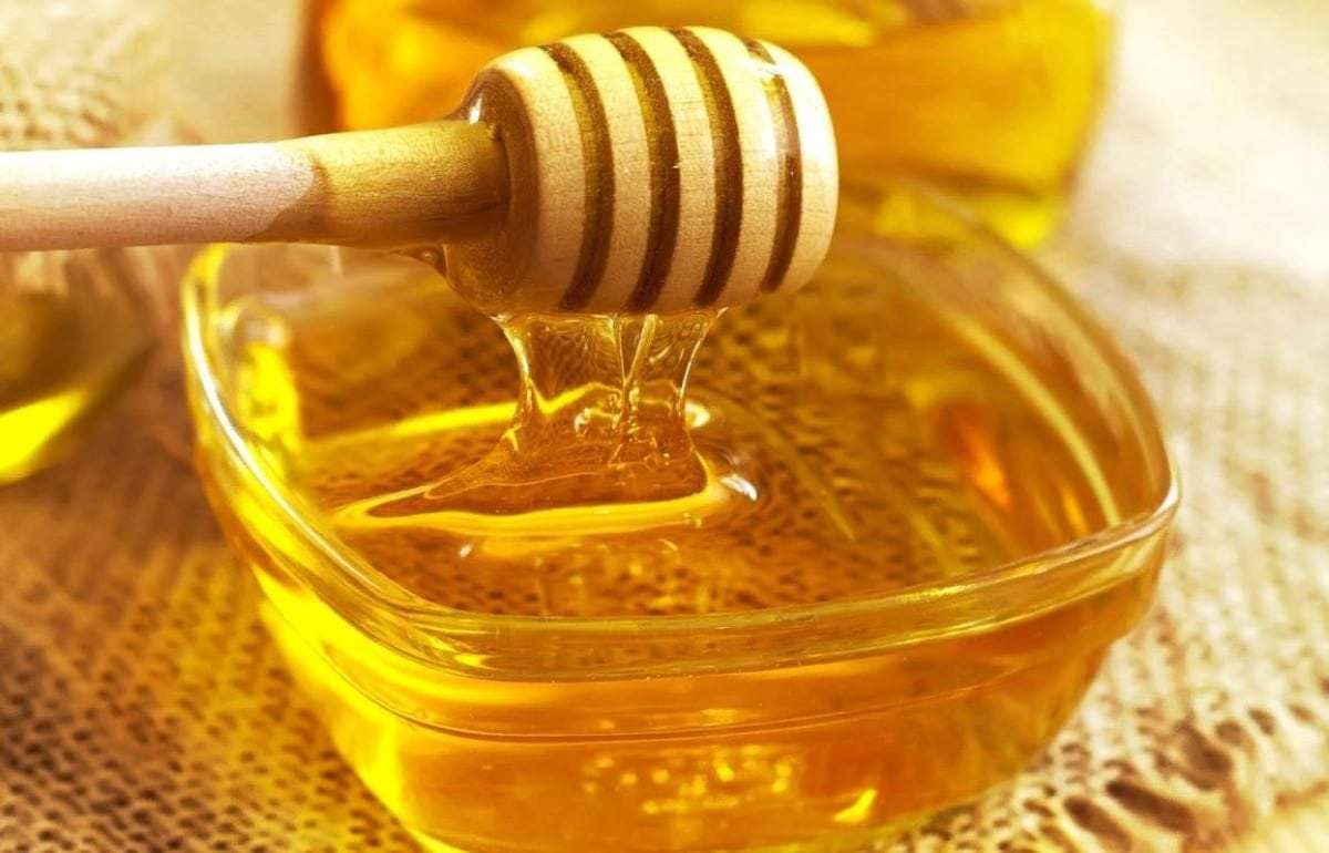 ЕС ужесточил правила маркировки меда: новые требования вступили в силу - agroexpert.md