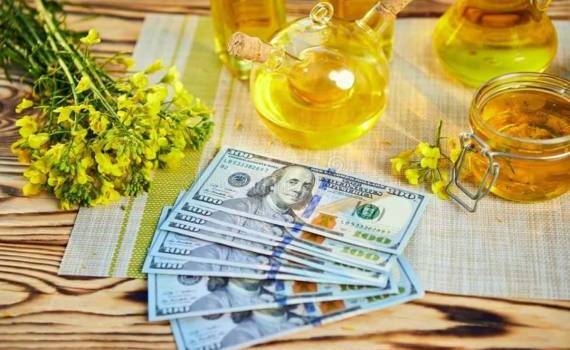 Как падение цен на нефть влияет на форвардные цены рапса в Украине - agroexpert.md