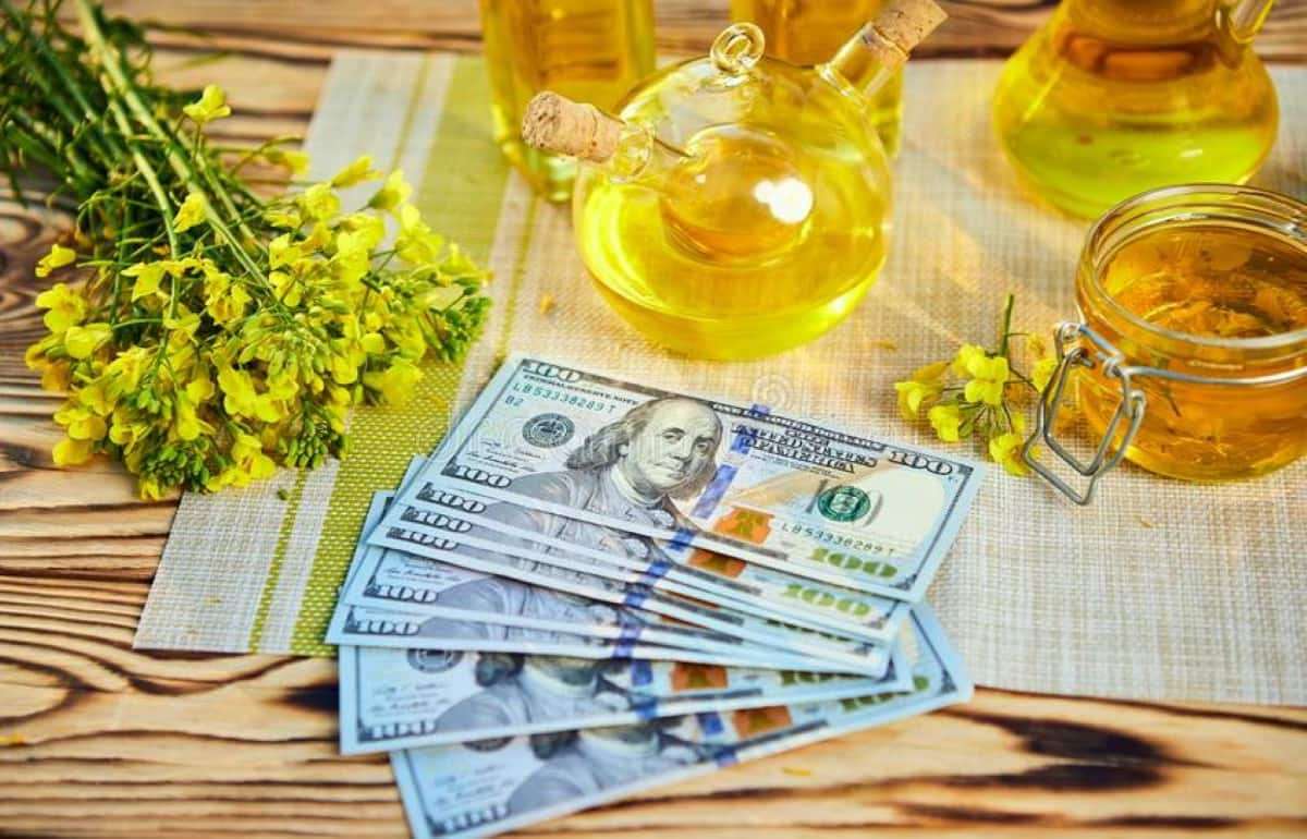 Как падение цен на нефть влияет на форвардные цены рапса в Украине - agroexpert.md